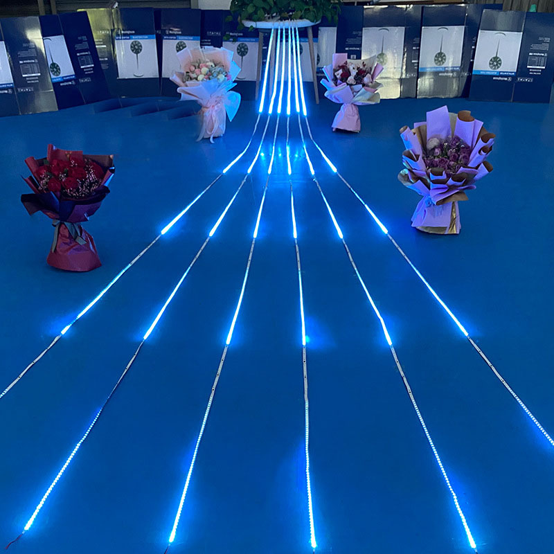 Outdoor Lighting Track - 16.5FT 5M 24V Akışlı LED Şerit