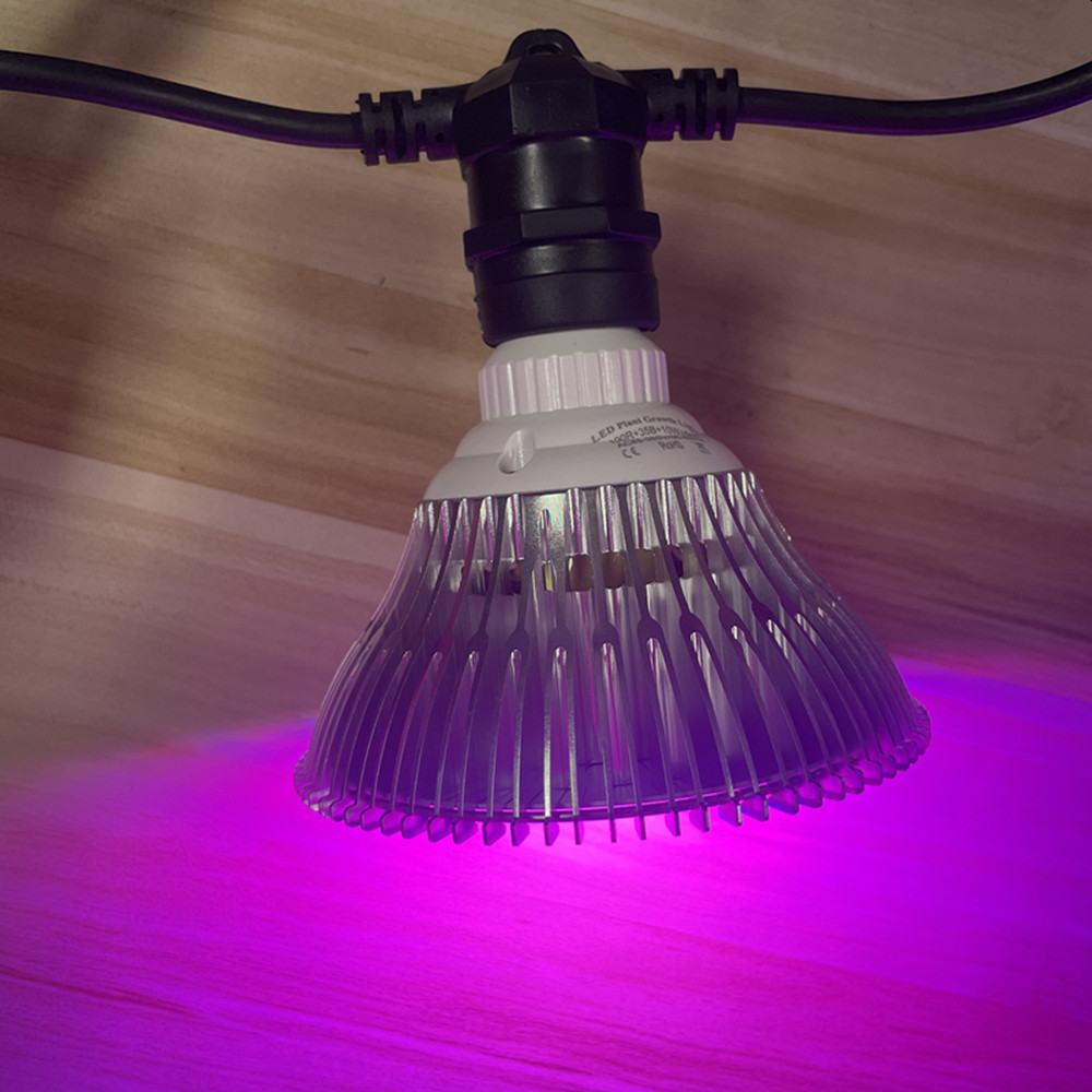 10M Kablo LED Dize Işık Zincir - Outdoor Lighting Brands incelemesi ve fiyatı